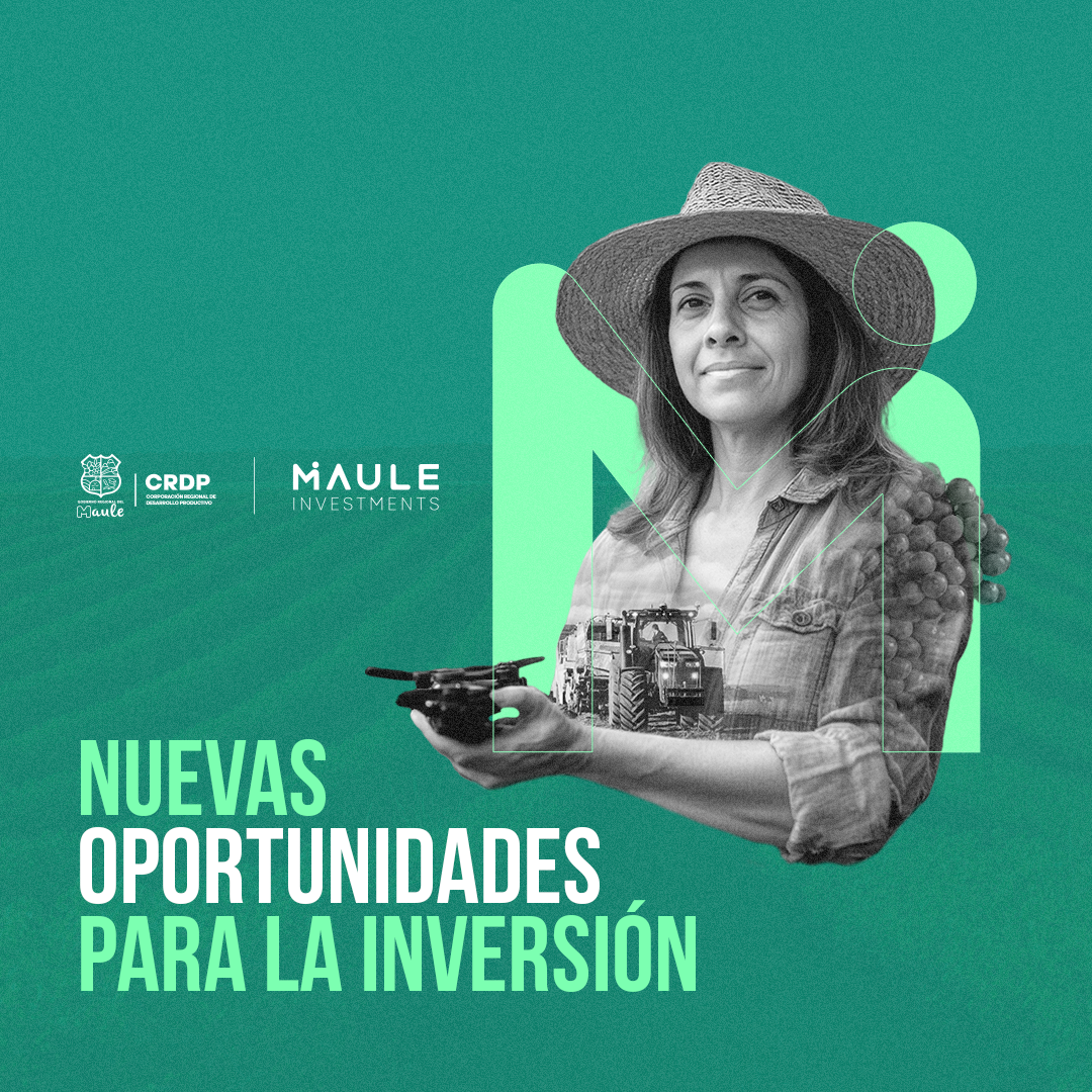 RESPONSIVE nuevas oportunidades 01